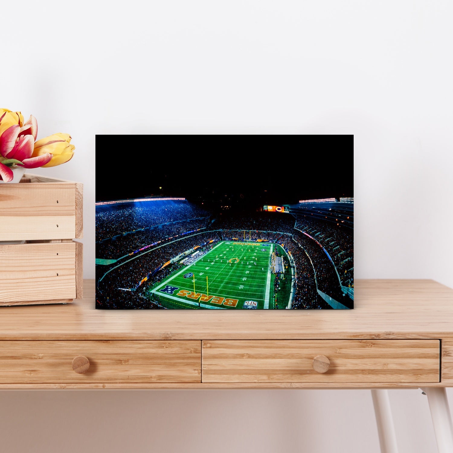 Chicago Sports Soldier Field